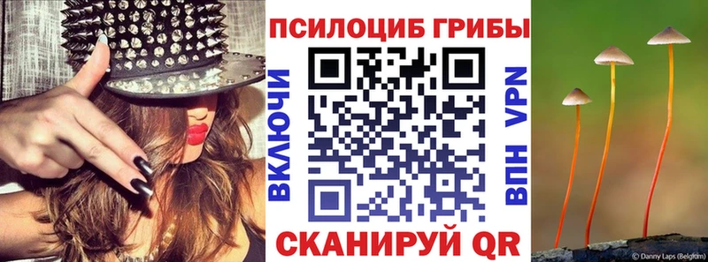 Псилоцибиновые грибы ЛСД  Губкинский 